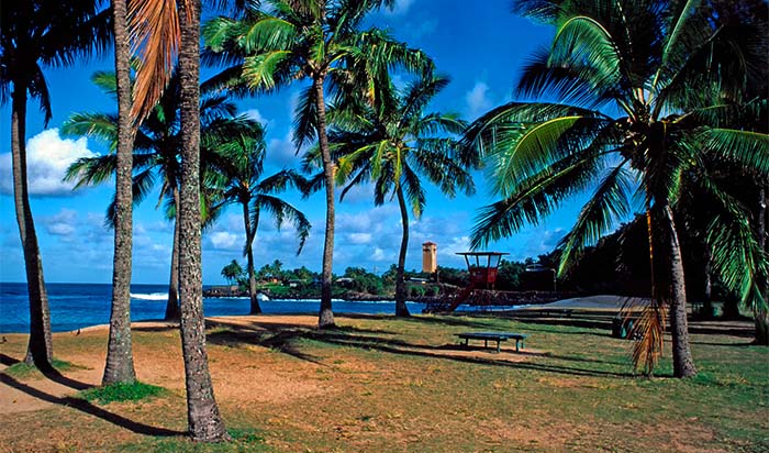 Waimea Bay lifeguard tower along the palm trees